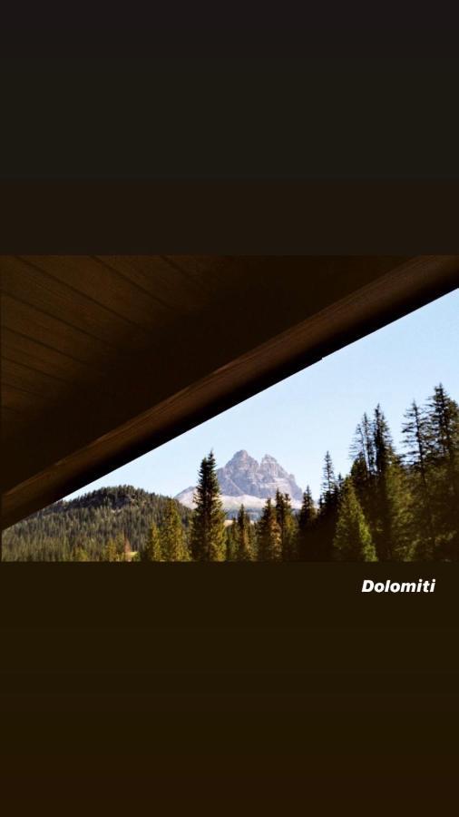 Hotel Dolomiti Des Alpes 米苏丽娜 外观 照片